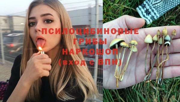 гидра Аркадак