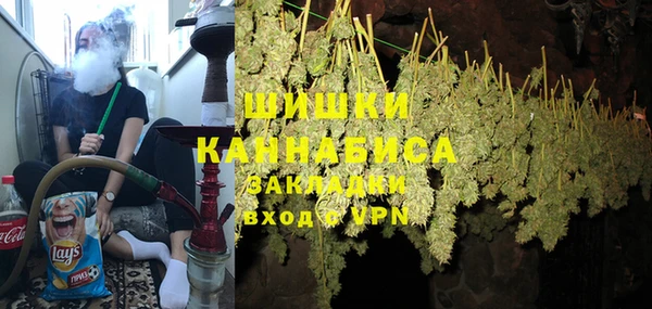 гидра Аркадак