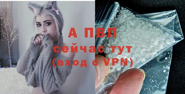 гидра Аркадак