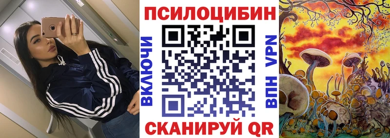 кракен   дарнет шоп  Среднеуральск  Псилоцибиновые грибы Psilocybine cubensis 