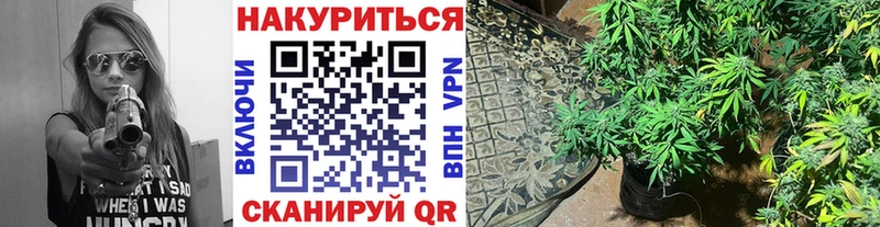 Бошки марихуана конопля  Среднеуральск 